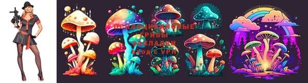 амфетамин Богородицк