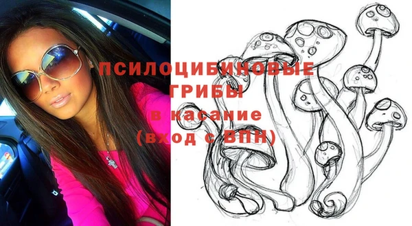 амфетамин Богородицк