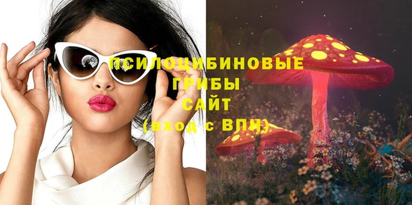 метамфетамин Богданович
