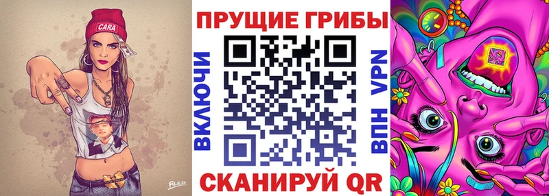 Псилоцибиновые грибы Cubensis  маркетплейс официальный сайт  Казань 